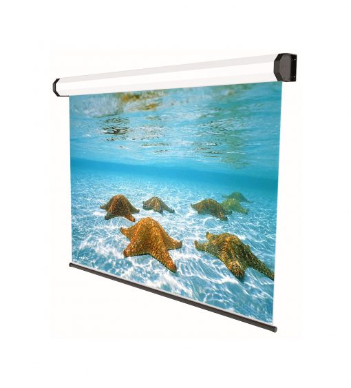 ELECTRIC PROFESSIONAL 43 ELECTRIC PROFESSIONAL 43