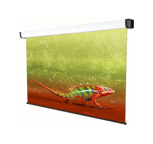 platinum 43 platinum 43