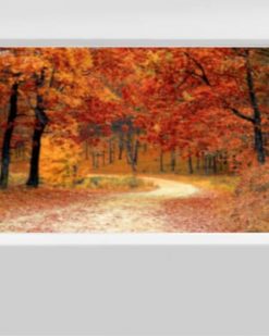 Linea Lybra da incasso