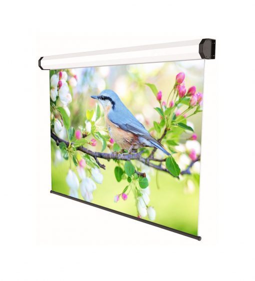 Schermo elettrico professional 16:10 Schermo elettrico professional 16:10