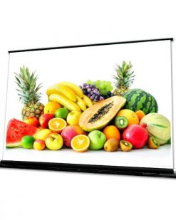 Schermo a salita dal basso motorizzato