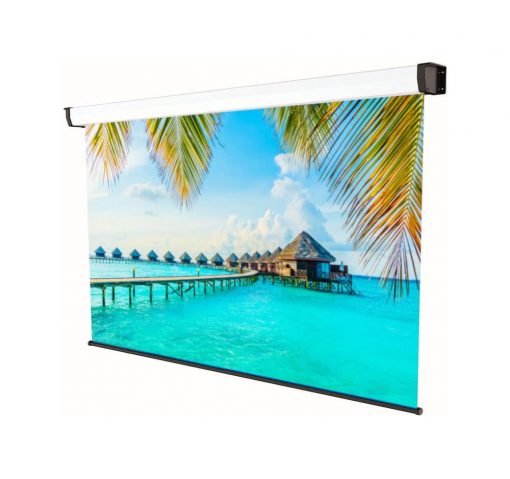 Schermo manuale a molla platinum Schermo manuale a molla platinum